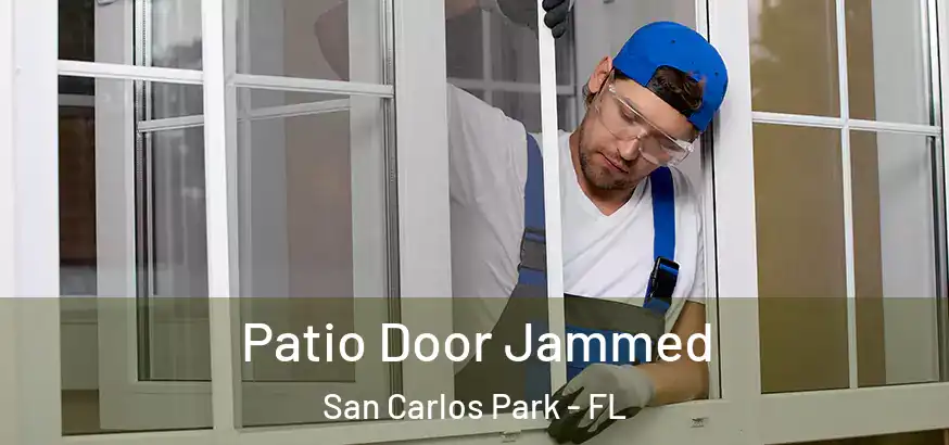  Patio Door Jammed San Carlos Park - FL