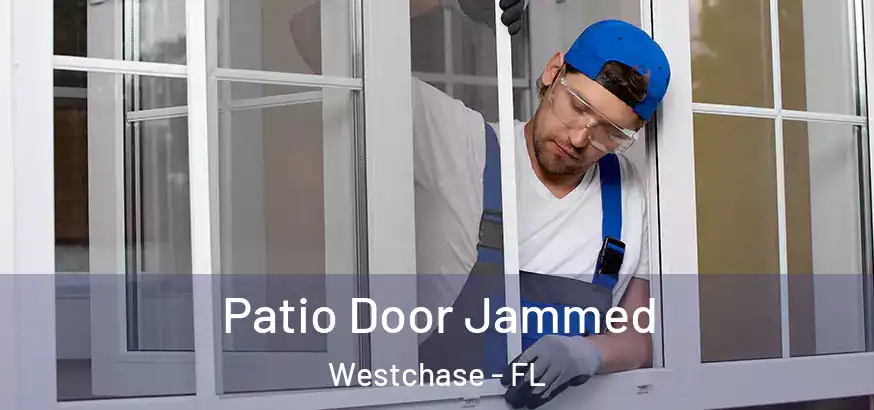  Patio Door Jammed Westchase - FL