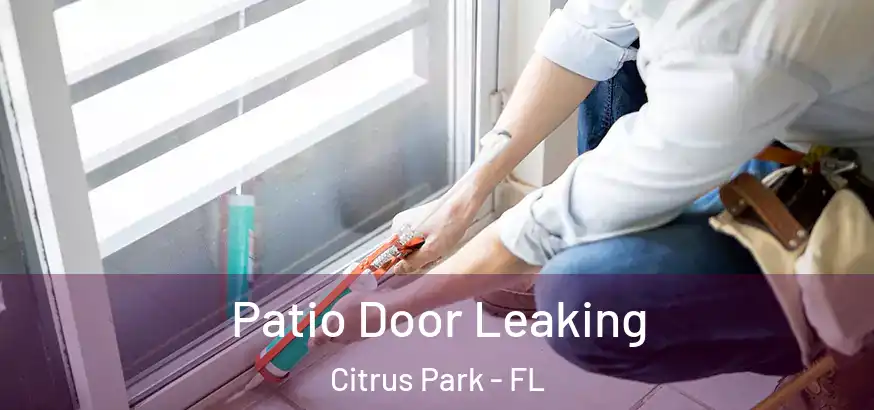  Patio Door Leaking Citrus Park - FL