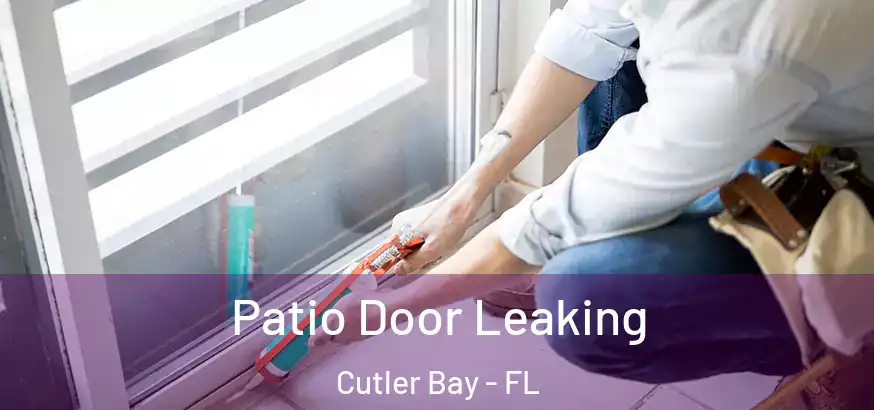  Patio Door Leaking Cutler Bay - FL