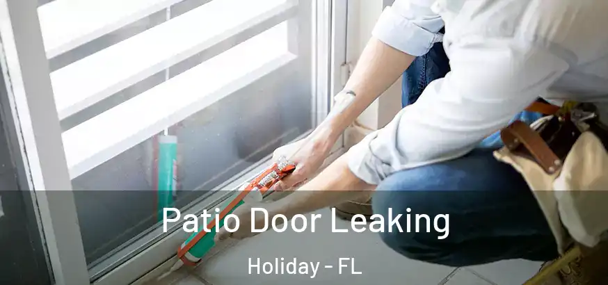  Patio Door Leaking Holiday - FL