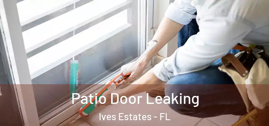  Patio Door Leaking Ives Estates - FL