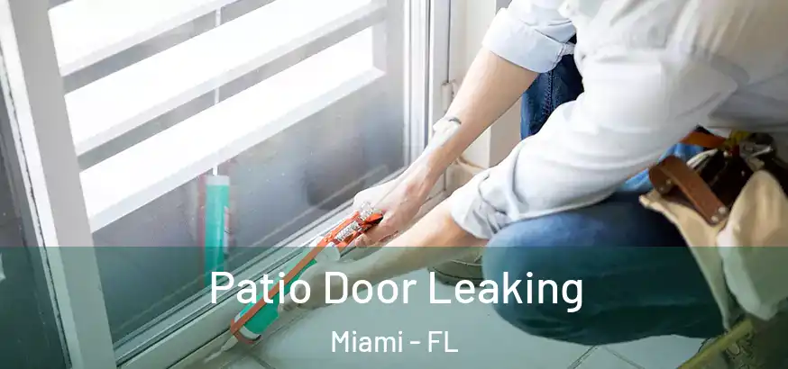  Patio Door Leaking Miami - FL