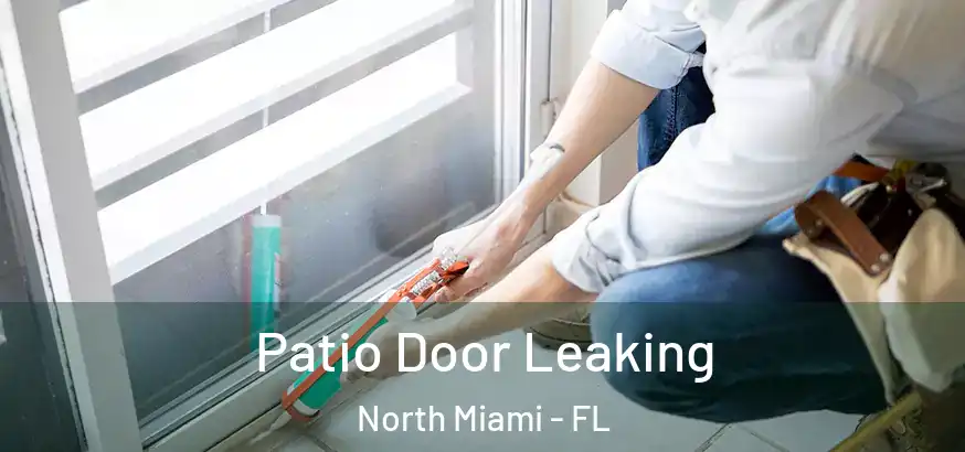  Patio Door Leaking North Miami - FL