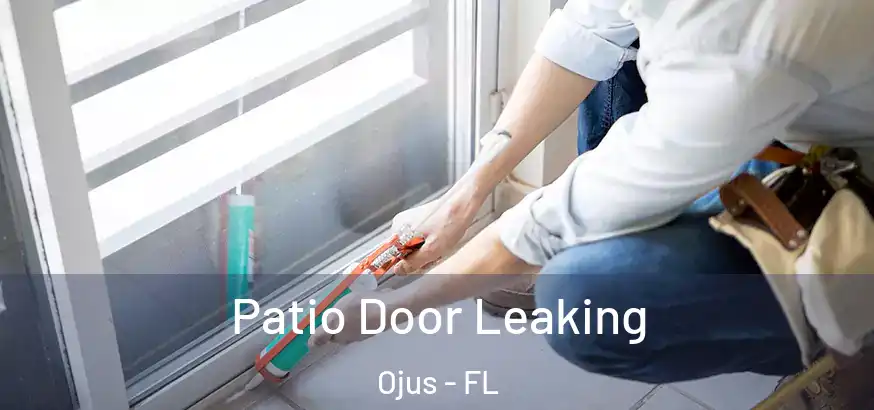 Patio Door Leaking Ojus - FL
