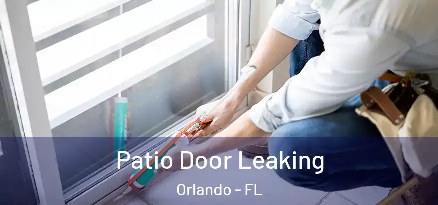  Patio Door Leaking Orlando - FL