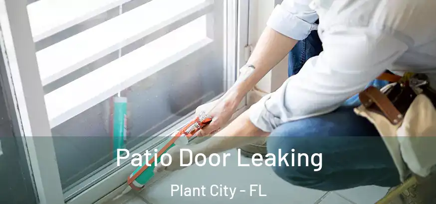 Patio Door Leaking Plant City - FL