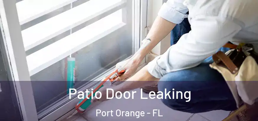  Patio Door Leaking Port Orange - FL