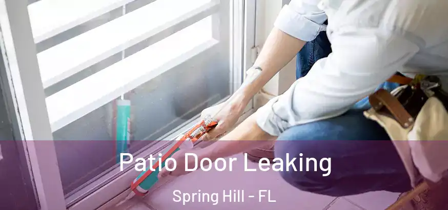  Patio Door Leaking Spring Hill - FL