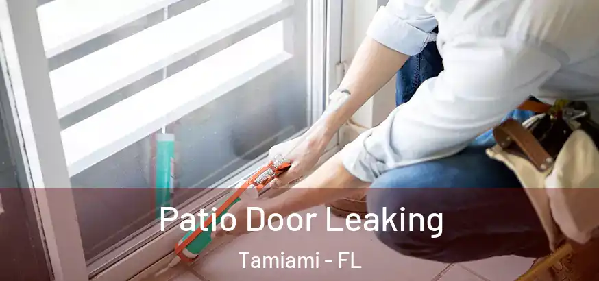 Patio Door Leaking Tamiami - FL