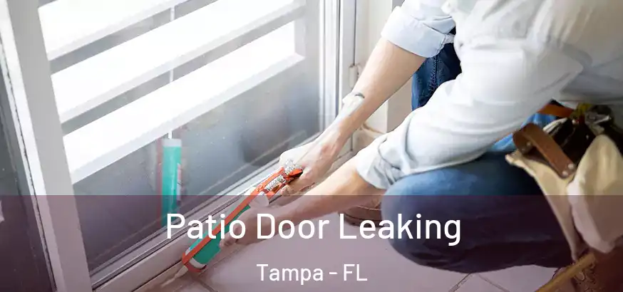  Patio Door Leaking Tampa - FL