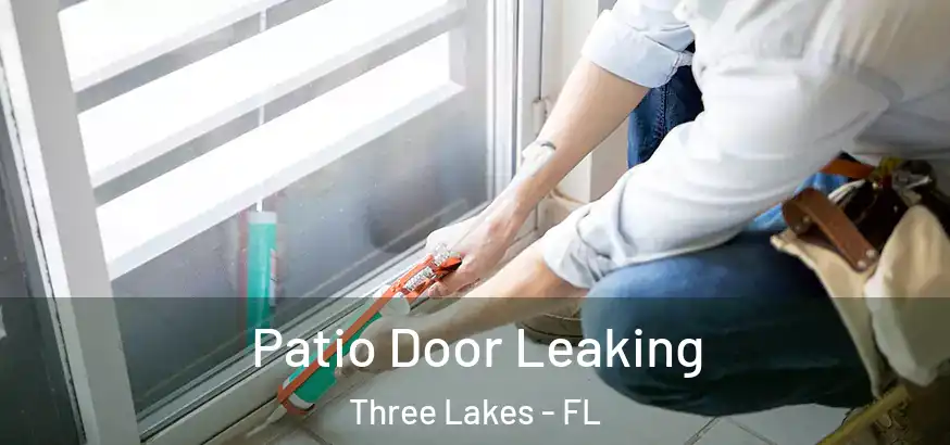  Patio Door Leaking Three Lakes - FL