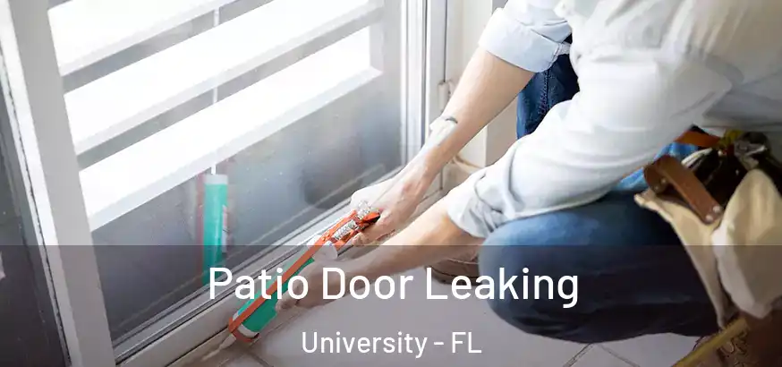  Patio Door Leaking University - FL
