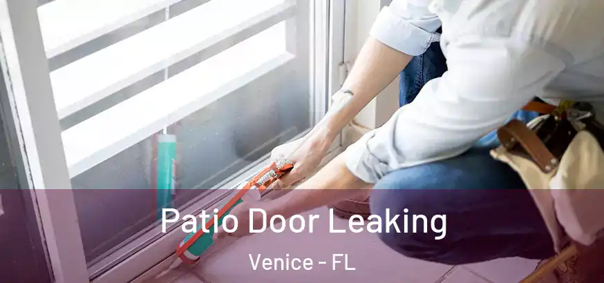  Patio Door Leaking Venice - FL