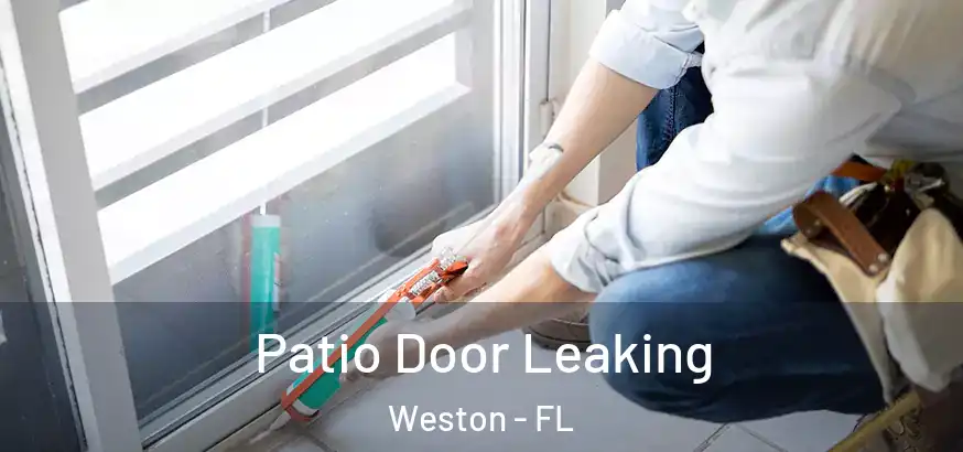 Patio Door Leaking Weston - FL