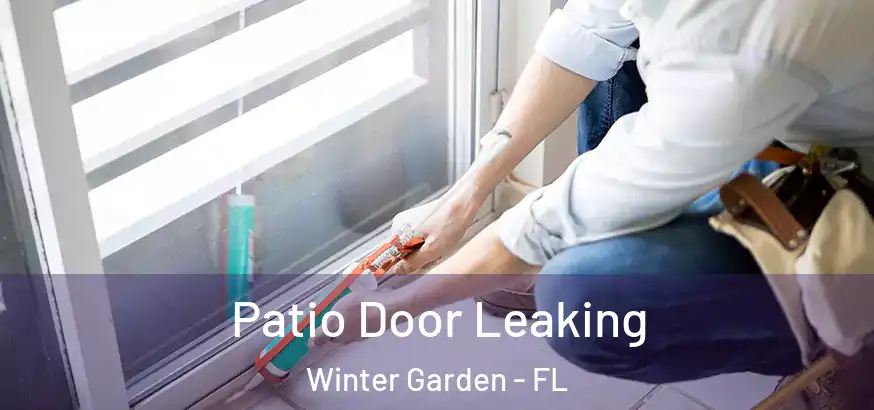 Patio Door Leaking Winter Garden - FL