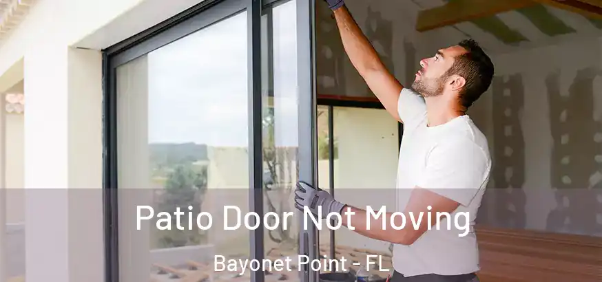  Patio Door Not Moving Bayonet Point - FL