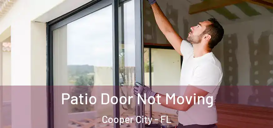  Patio Door Not Moving Cooper City - FL