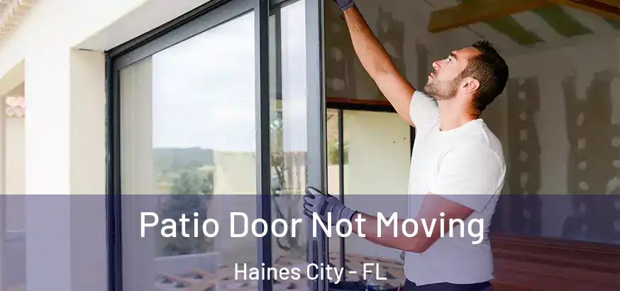 Patio Door Not Moving Haines City - FL