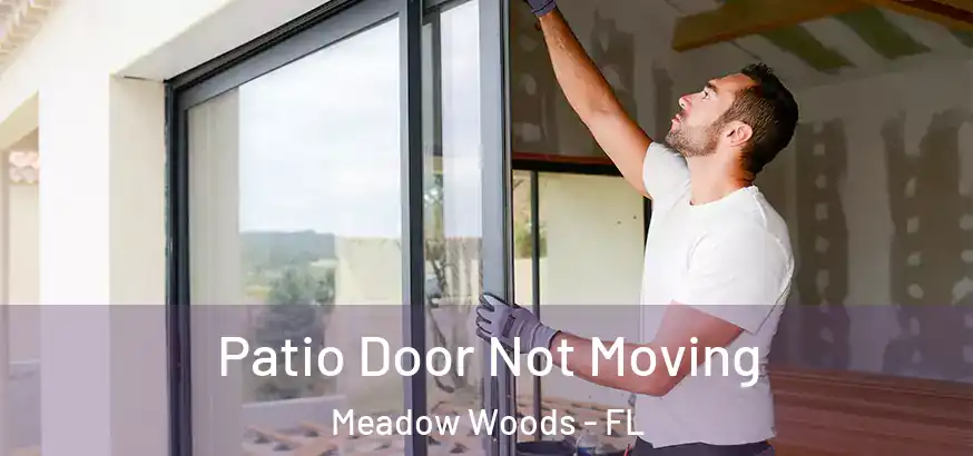 Patio Door Not Moving Meadow Woods - FL