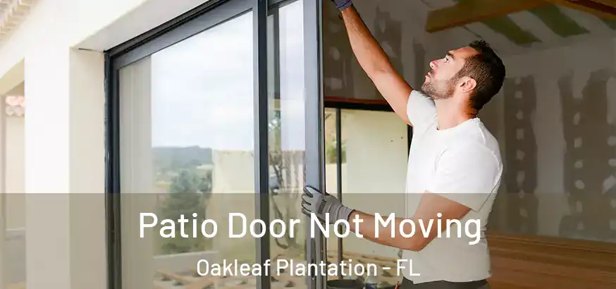  Patio Door Not Moving Oakleaf Plantation - FL