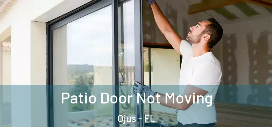  Patio Door Not Moving Ojus - FL