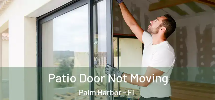  Patio Door Not Moving Palm Harbor - FL