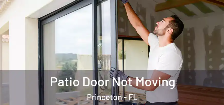  Patio Door Not Moving Princeton - FL