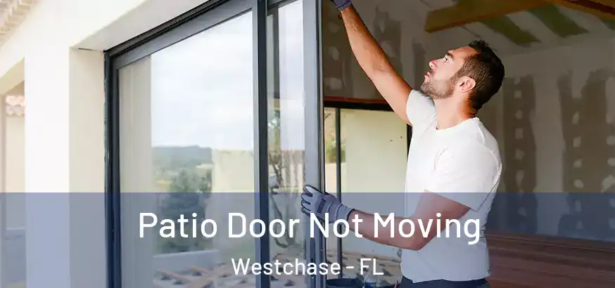  Patio Door Not Moving Westchase - FL