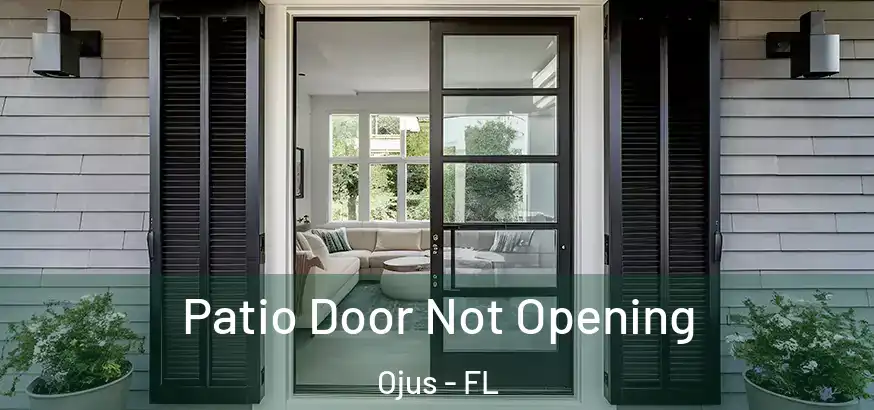  Patio Door Not Opening Ojus - FL