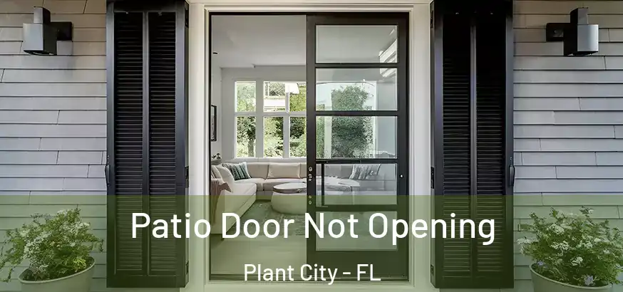  Patio Door Not Opening Plant City - FL