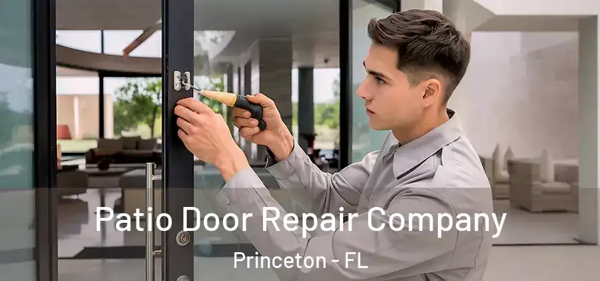  Patio Door Repair Company Princeton - FL
