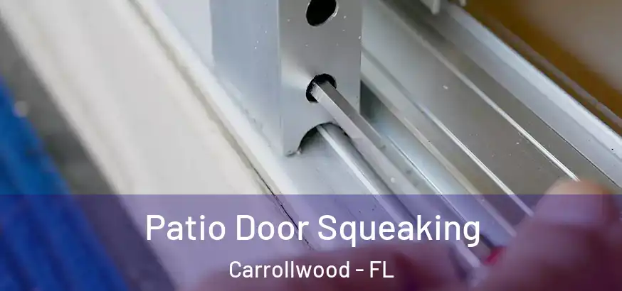  Patio Door Squeaking Carrollwood - FL