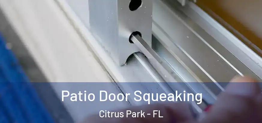 Patio Door Squeaking Citrus Park - FL