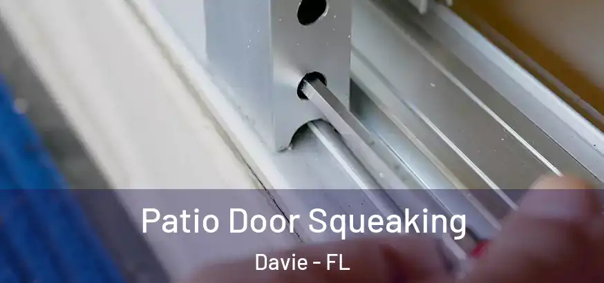  Patio Door Squeaking Davie - FL