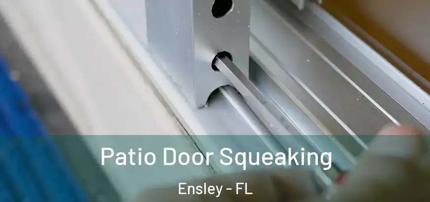  Patio Door Squeaking Ensley - FL