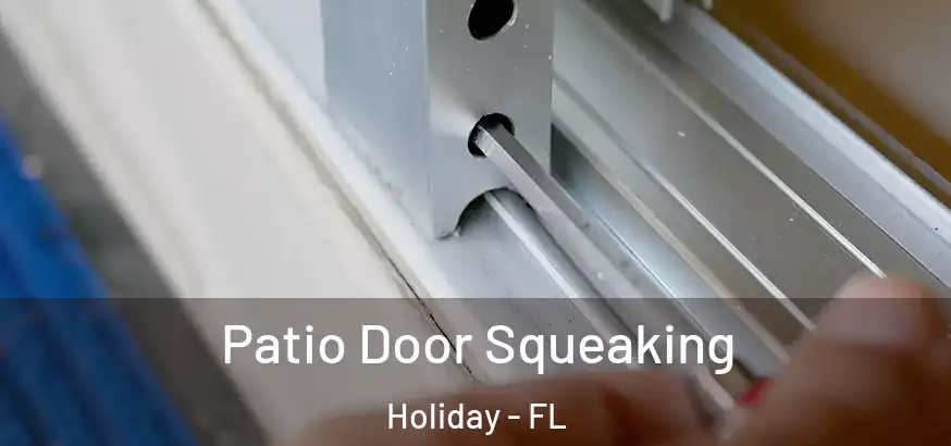  Patio Door Squeaking Holiday - FL