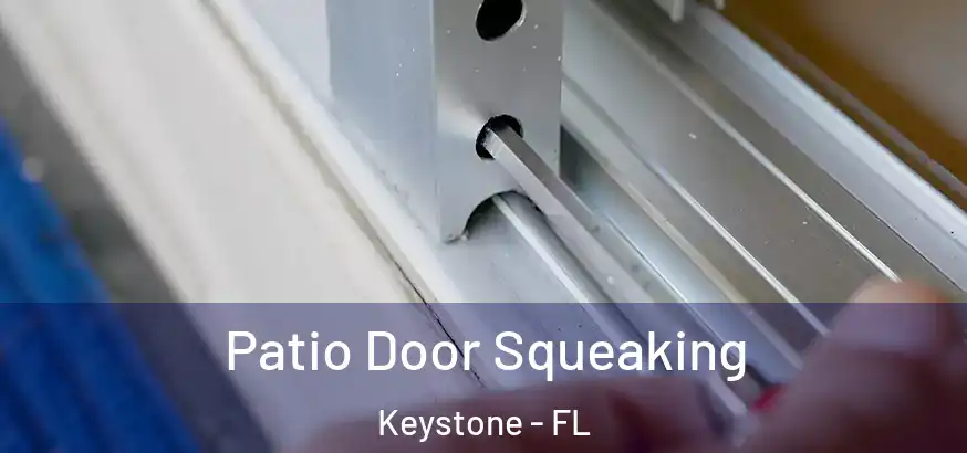 Patio Door Squeaking Keystone - FL