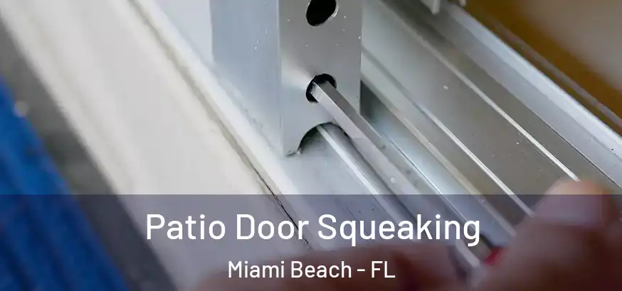  Patio Door Squeaking Miami Beach - FL