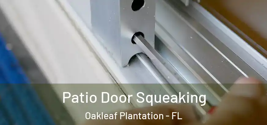  Patio Door Squeaking Oakleaf Plantation - FL