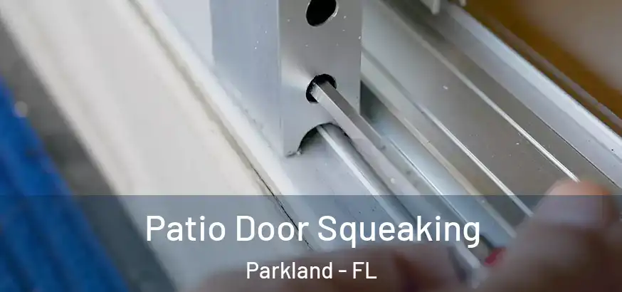  Patio Door Squeaking Parkland - FL