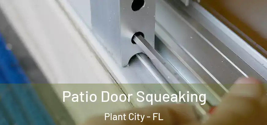  Patio Door Squeaking Plant City - FL