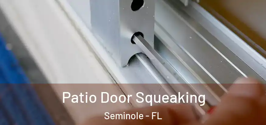  Patio Door Squeaking Seminole - FL