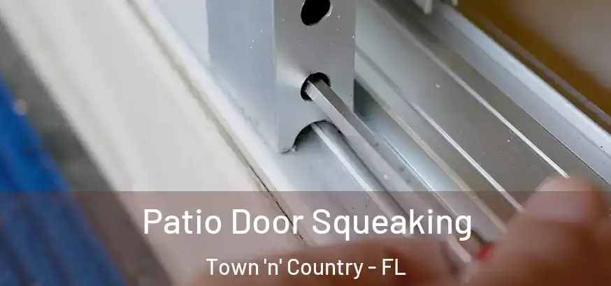  Patio Door Squeaking Town 'n' Country - FL