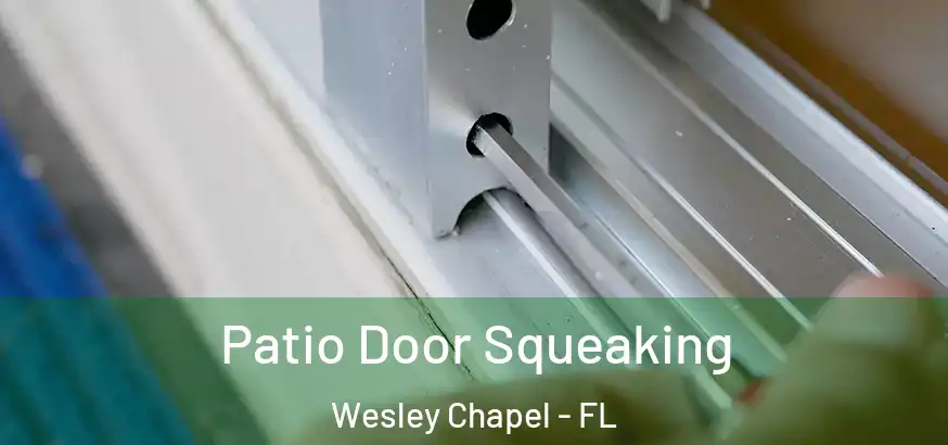  Patio Door Squeaking Wesley Chapel - FL
