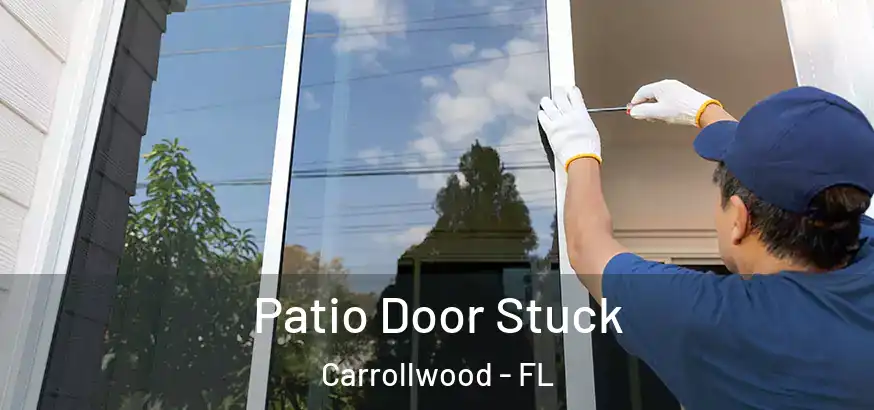 Patio Door Stuck Carrollwood - FL