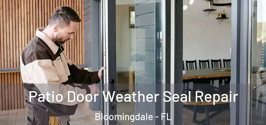 Patio Door Weather Seal Repair Bloomingdale - FL