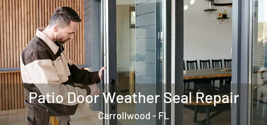  Patio Door Weather Seal Repair Carrollwood - FL