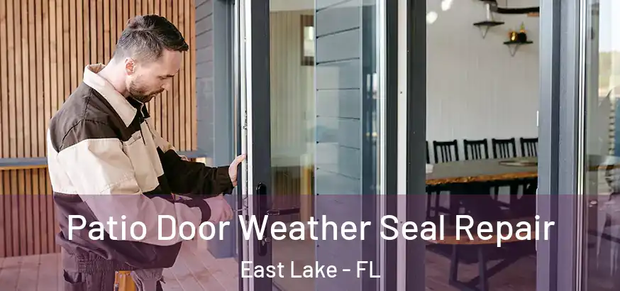  Patio Door Weather Seal Repair East Lake - FL