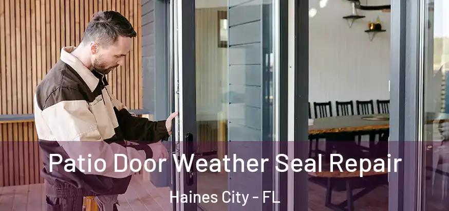  Patio Door Weather Seal Repair Haines City - FL